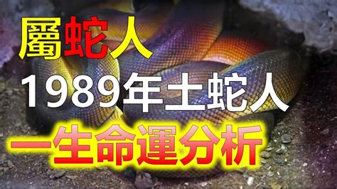 1989屬蛇幸運色|生肖蛇: 性格，愛情，2024運勢，生肖1989，2001，2013